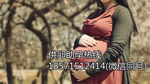 上海捐卵助孕机构 2023年在上海私人机构做三代试管生龙凤胎医院排行