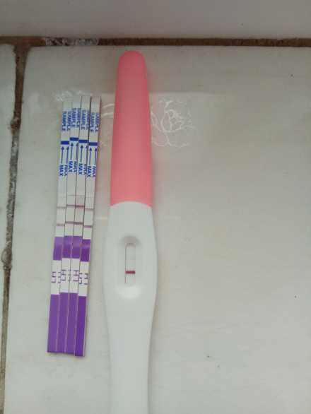 上海试管供卵生育医院推荐