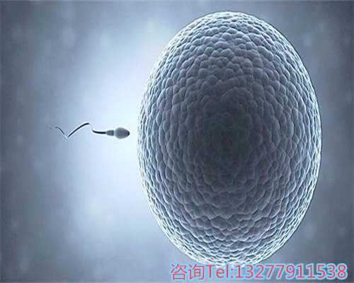 生命的绽放：精选医院的供卵试管移植技术
