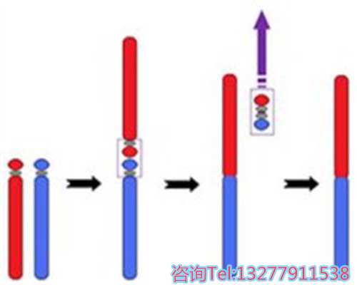 新生儿脐带脱落时间全解析：科学护理指南