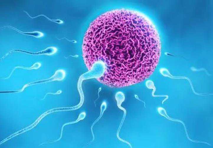 探索：阴道干涩的治愈秘方：维生素的力量