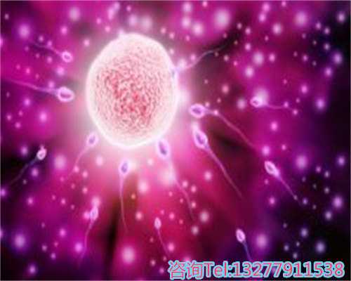 上海包成功包男孩价格低的优缺点全解析