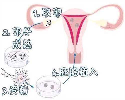 上海地区试管婴儿助孕：蚕豆病宝宝能否安全使用佳洁士香皂？