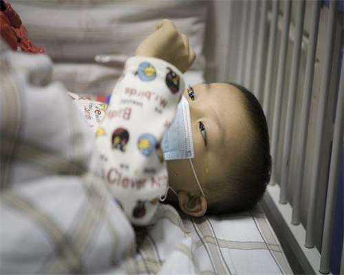 2026年上海助孕机构精选：成功率与最新供卵资讯