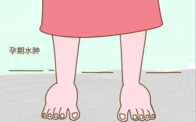 上海宝宝辅食添加指南：新手父母必看