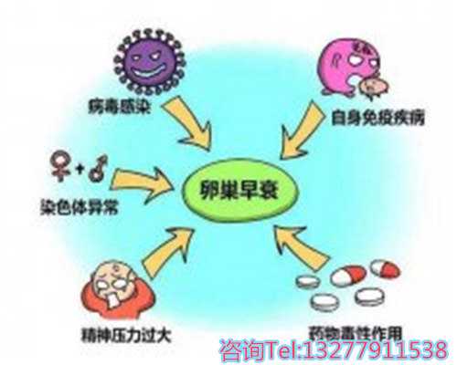 上海供卵花费多少？帮助您早日迎接新生命