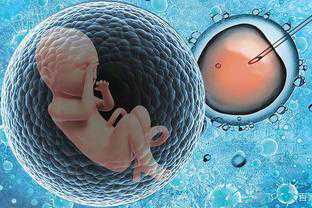 上海供卵费用揭秘：生育未来，助您梦想成真