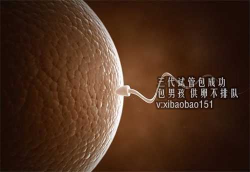 上海助孕公司找哪家_听我的!胚胎移植后便秘，这几种方法可以试试!