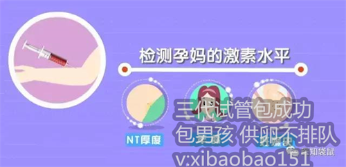 上海借卵试管婴儿成功_试管移植胚胎一周后有点出血的情况是正常吗?